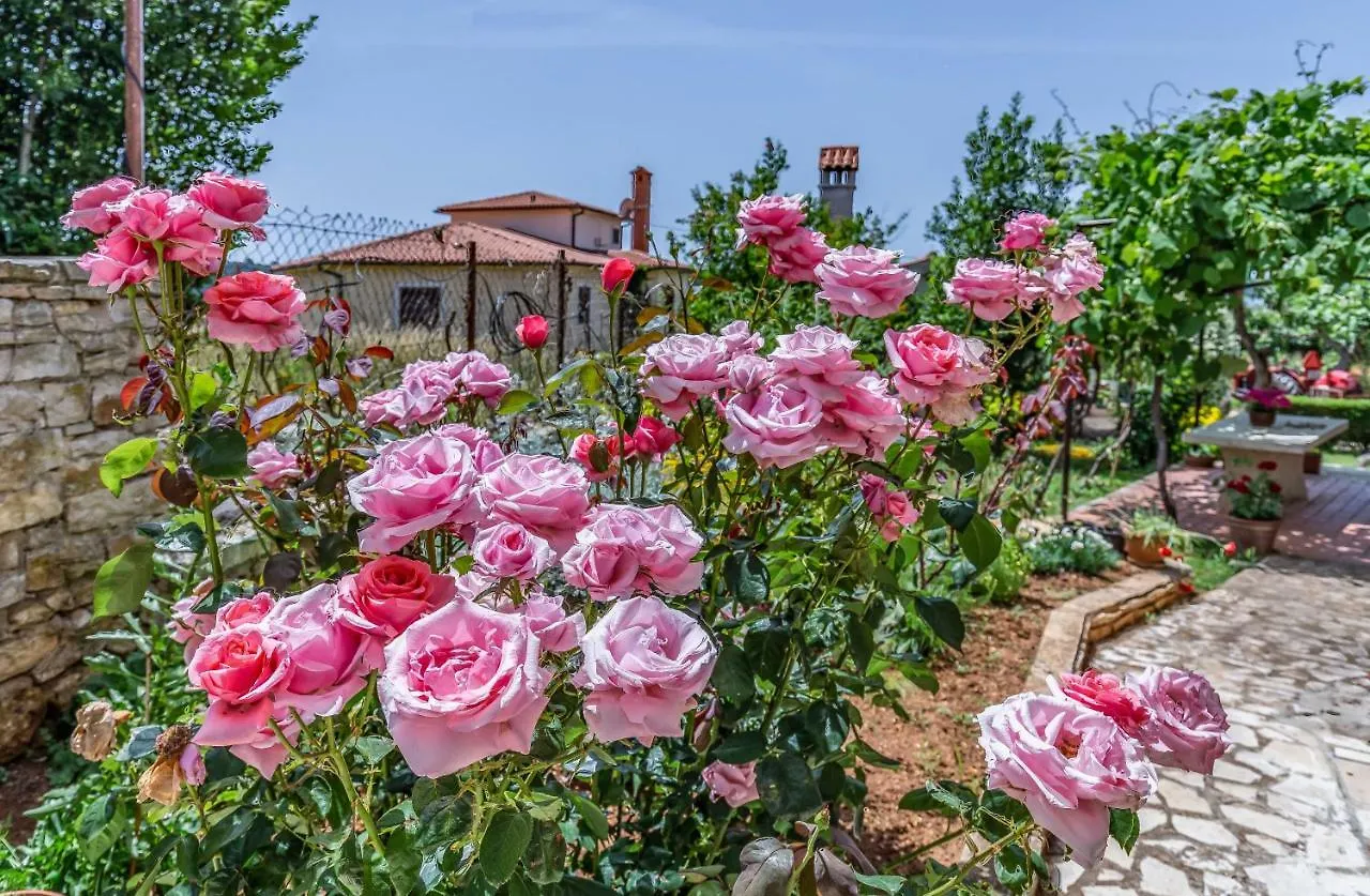 Apartments Ruzica Pomer