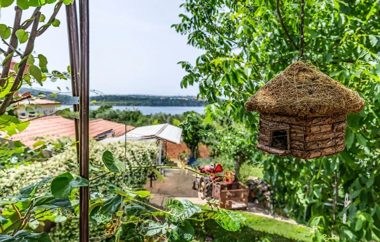 Apartments Ruzica Pomer